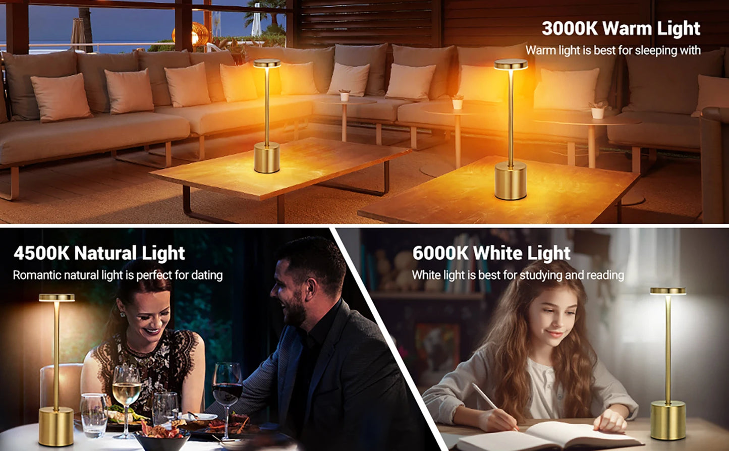 LED Rechargeable Touch Metal Table Lamp