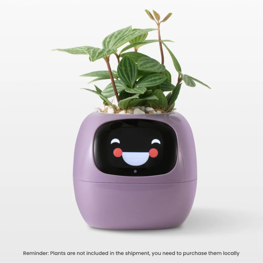 AI Ivy Smart Planter