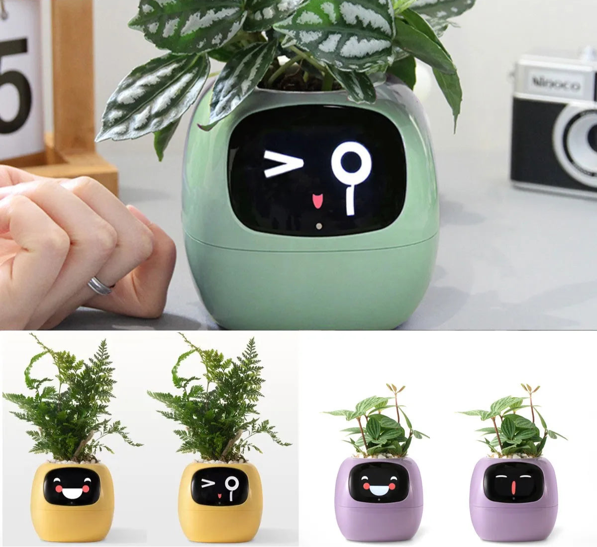AI Ivy Smart Planter